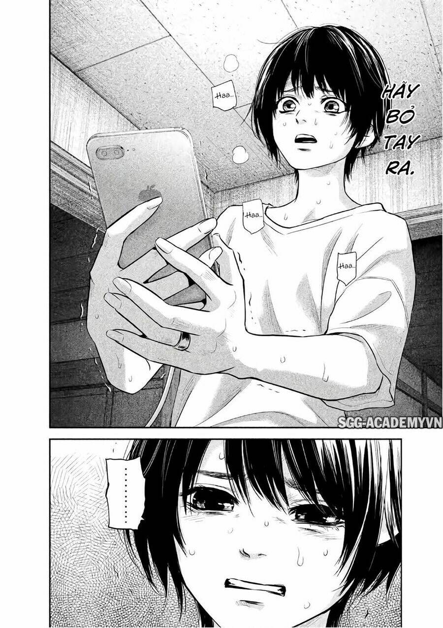 đạo luật nhiều vợ chapter 161 19