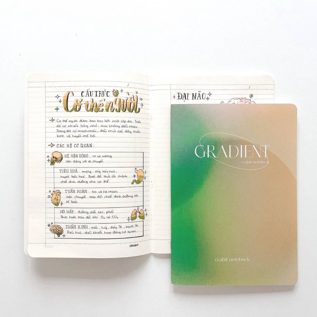 Vở học sinh - Vở sinh viên - Vở kẻ ngang - Vở crabit - 80 trang - 70gsm - Bìa Gradient Hồng - Xanh lá - Xanh dương