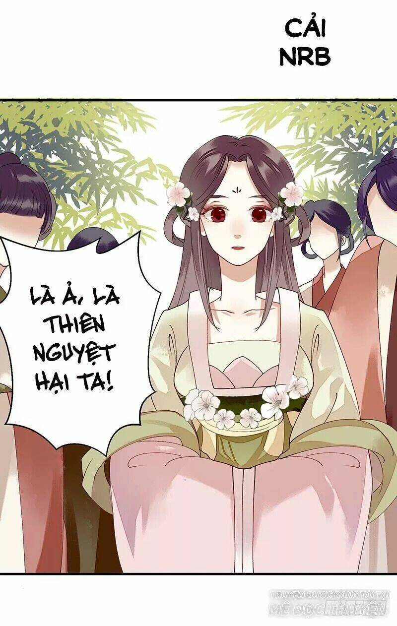 nhất đế trọng sinh mỹ nhân tâm kế chapter 25 1