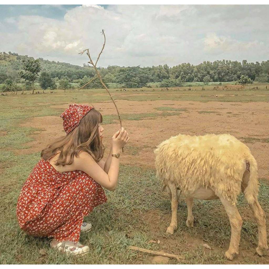 Váy 2 dây, vitage siêu mát-đáng yêu