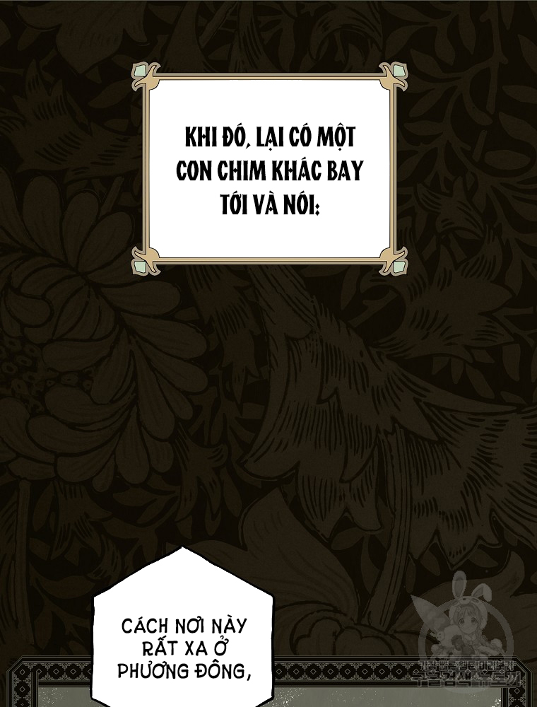 quý cô bí ẩn - secret lady chapter 48 40