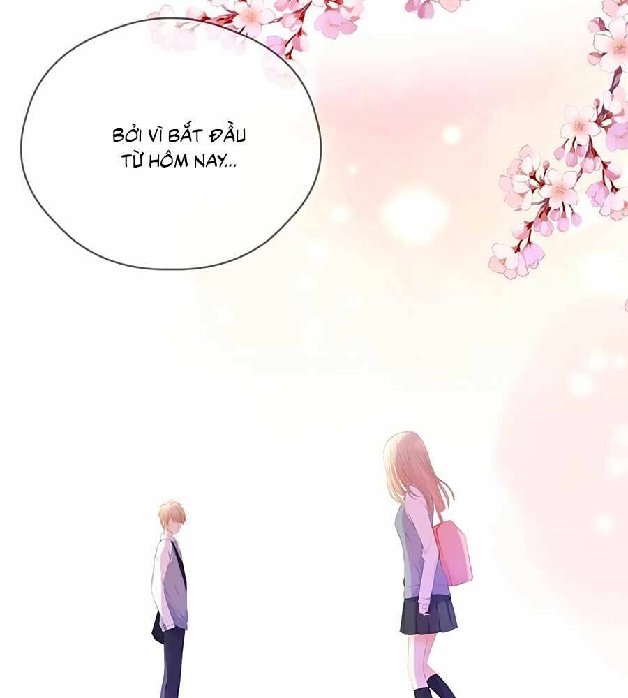 đóa hoa chớm nở chapter 66 4