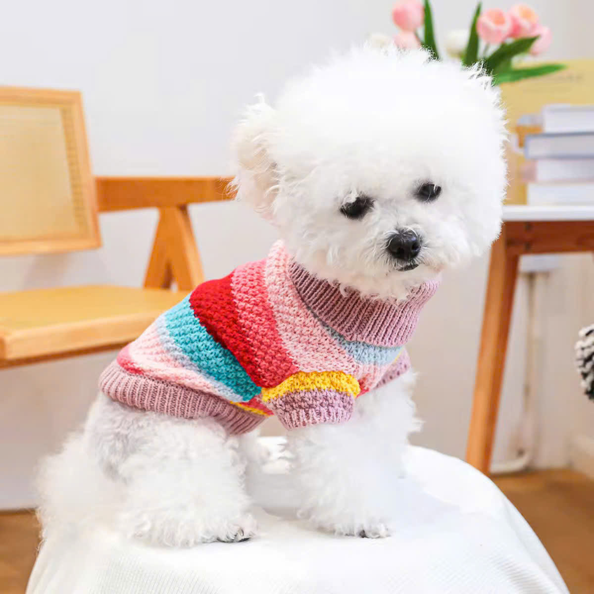 ÁO LEN SIÊU SANG TRỌNG TỪ 0.5-8KG DÀNH CHO THÚ CƯNG CHÓ MÈO