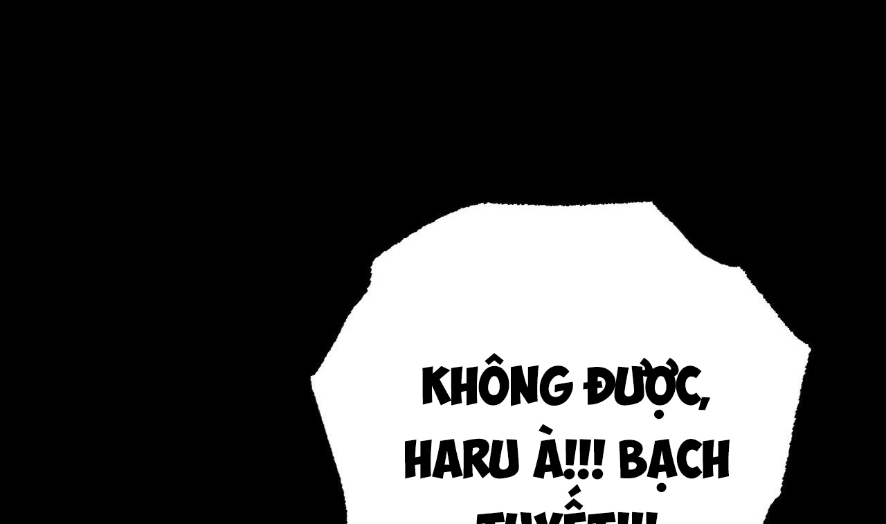 đàn thỏ của habibi chapter 31 255