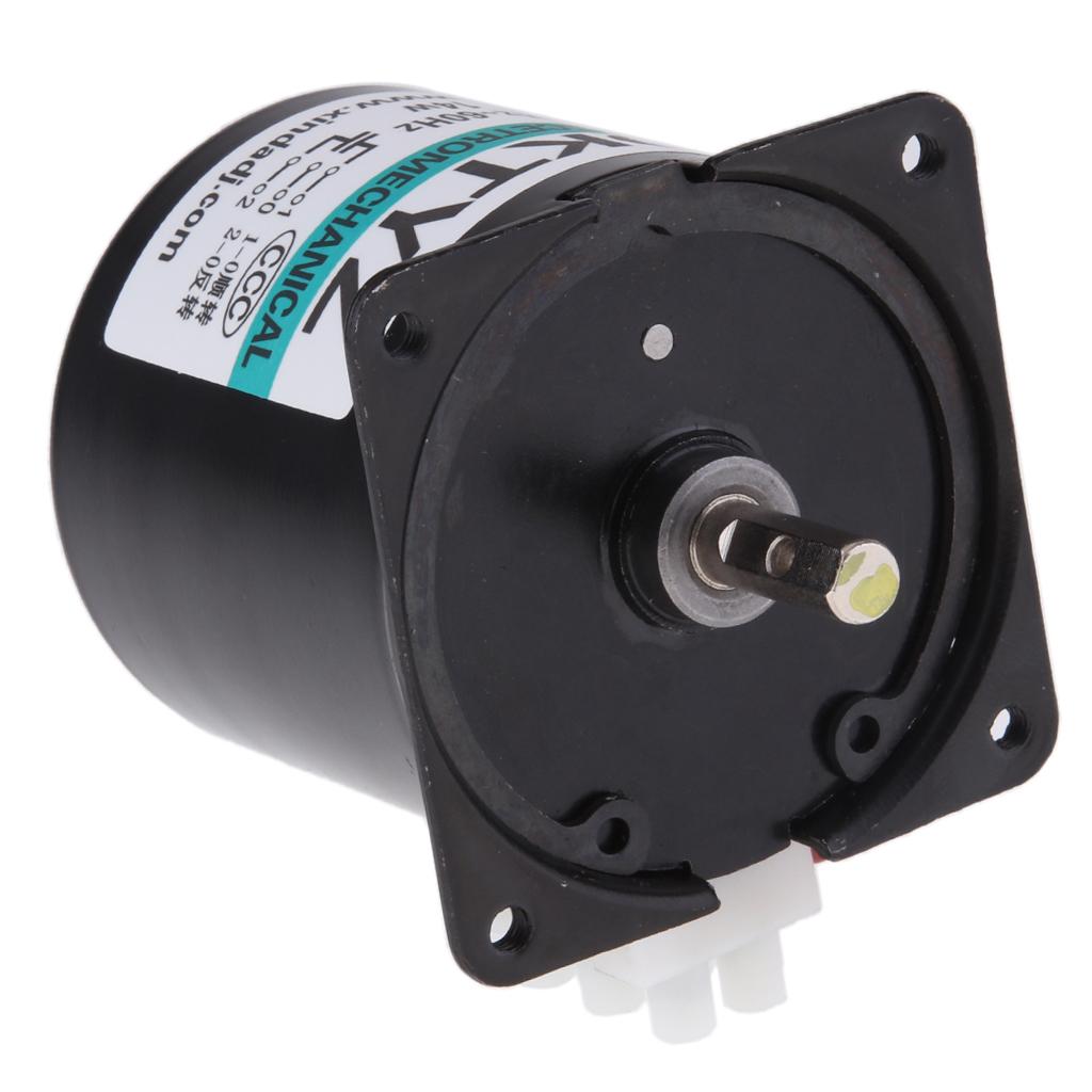 60KTYZ 220V 20RPM Permanent
