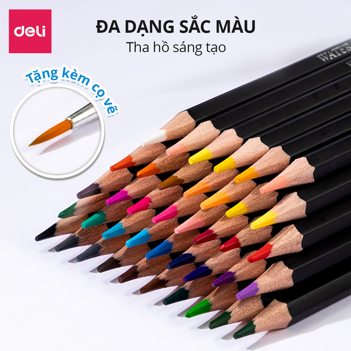 Bút Chì Màu Gốc Nước Chuyên Nghiệp Deli Kèm Cọ Vẽ - 36/48/72 Màu Thiết Kế Tô Vẽ Tranh Phác Thảo Học Sinh