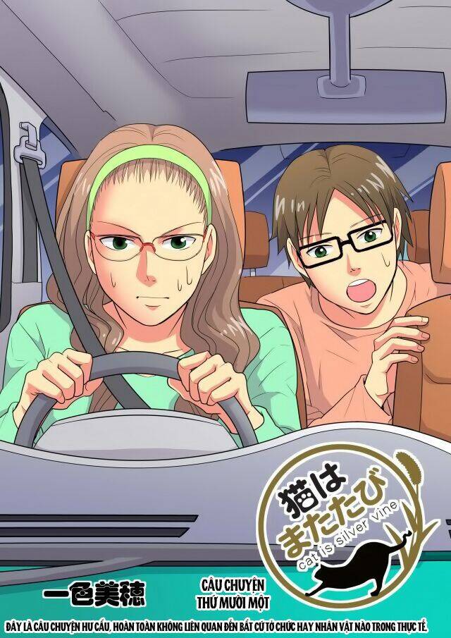 cat is silver vine chapter 11 1