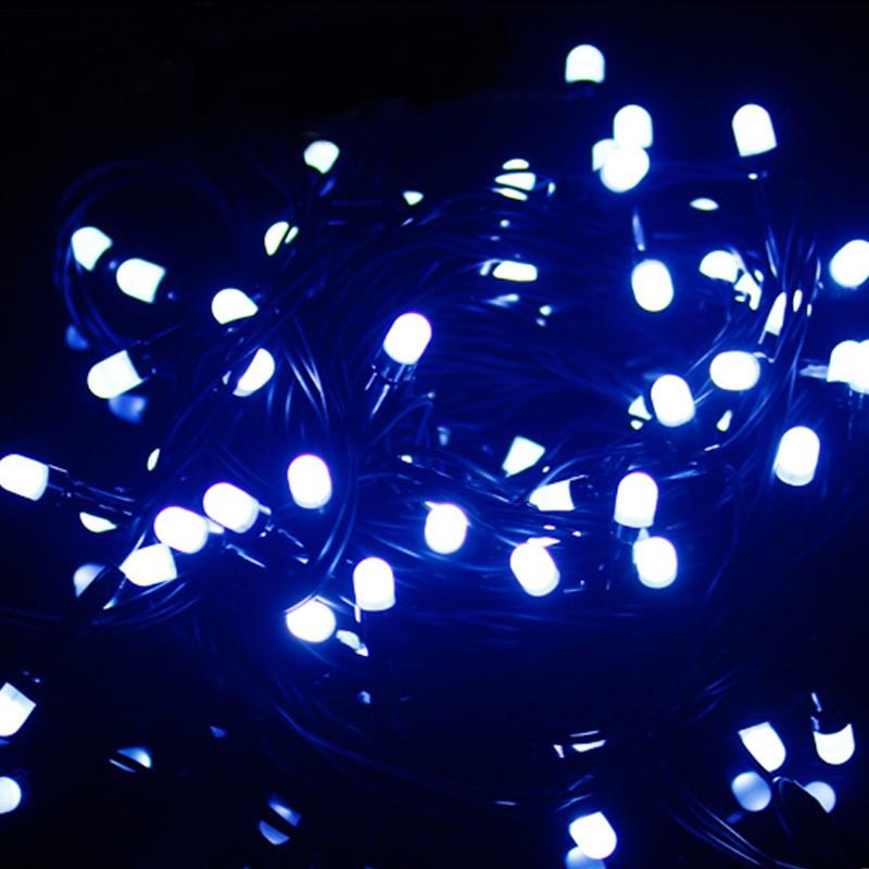 Dây đèn led trang trí Noel Màu Xanh Dương 50M