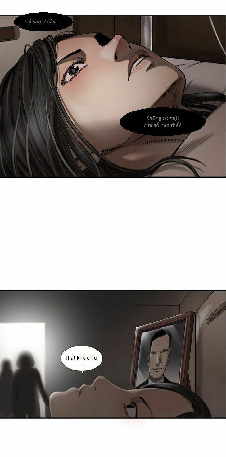 diamond dust chapter 5 20