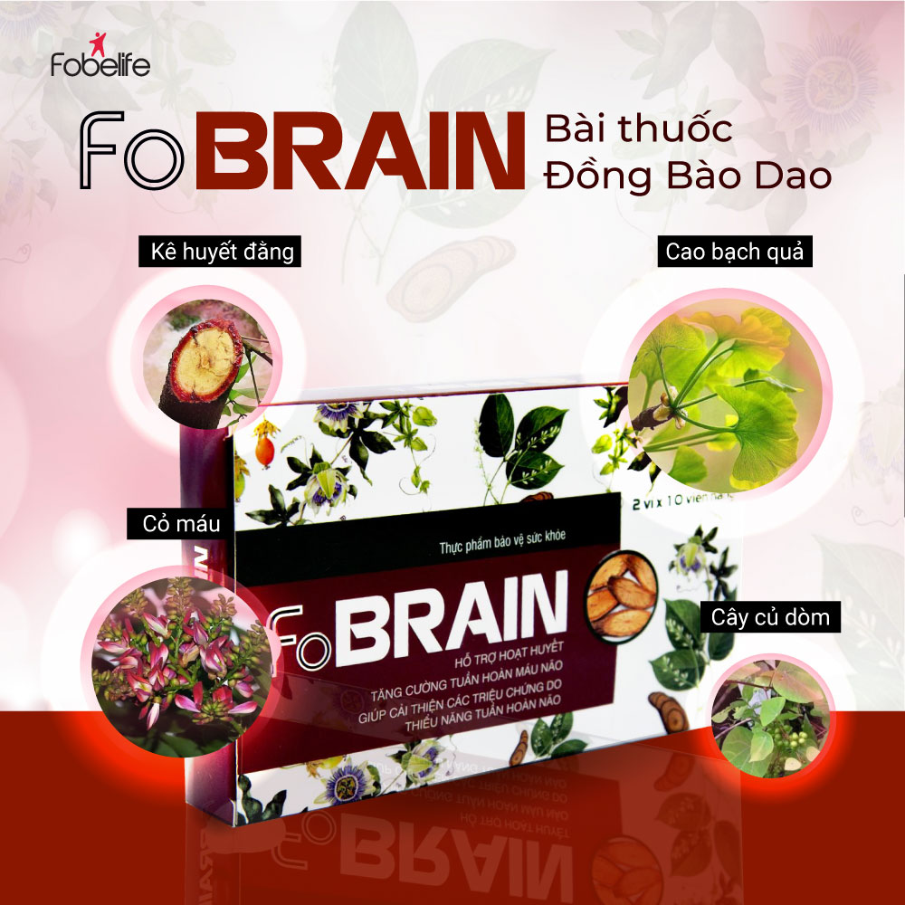 Viên Uống Giảm Rối Loạn Tiền Đình Giảm Đau Đầu Hoa Mắt Chóng Mặt FoBrain - Hộp 20 viên