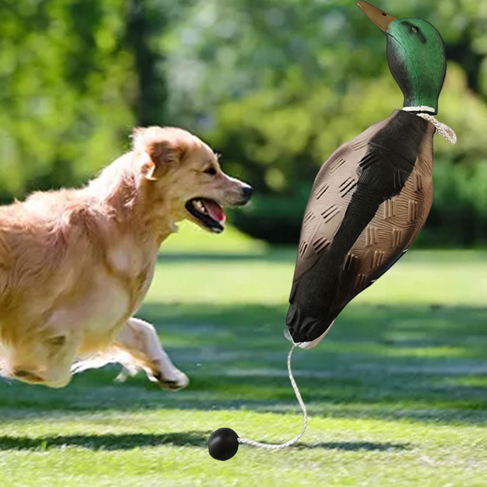 Mallard Duck Decoy Outdoor Scarecrow Hunting Decoy Hiking for Dog Chewing