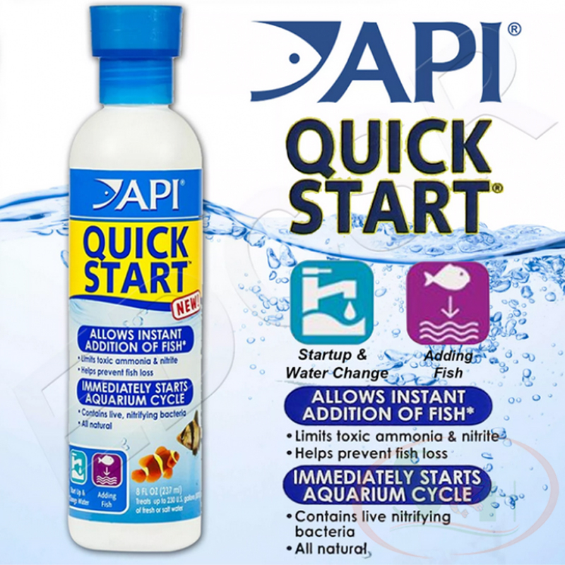 Khởi tạo bể API Quick Start hỗn hợp vi sinh xử lý start up nước bể cá tép thủy sinh