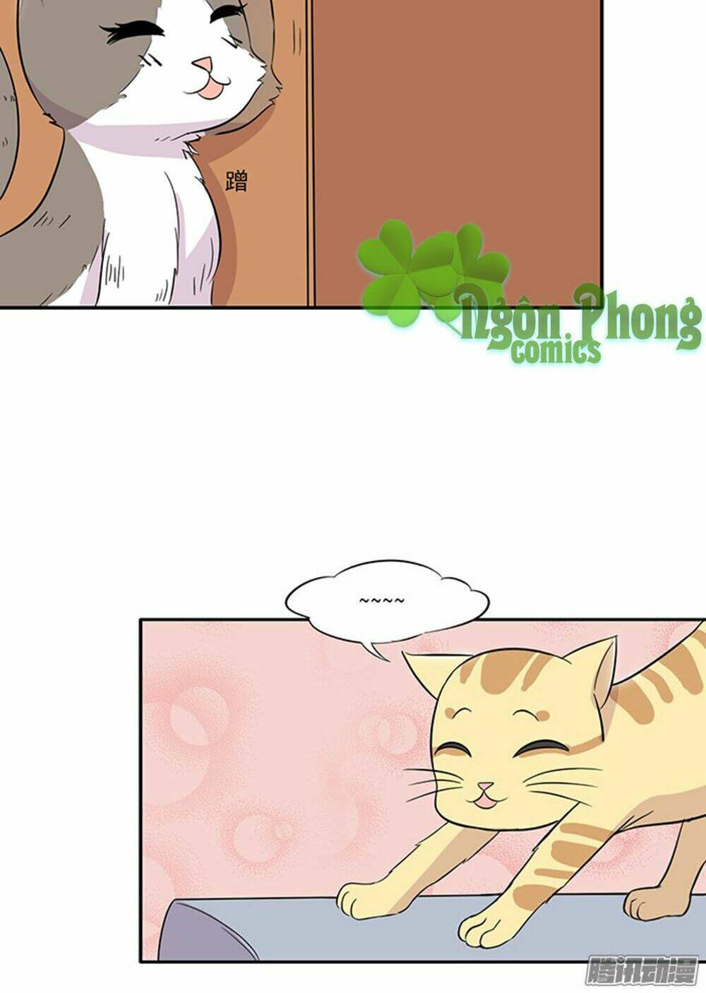 hai chú mèo totem chapter 15 8