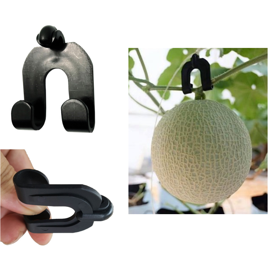 Bộ 10 Móc Treo Dưa Lưới - Móc Treo Trái Dưa Lưới bền, tiện lợi, tạo cuốn trái chữ T đẹp, có thể sử dụng nhiều mùa vụ VTNN Nông Điền Trang