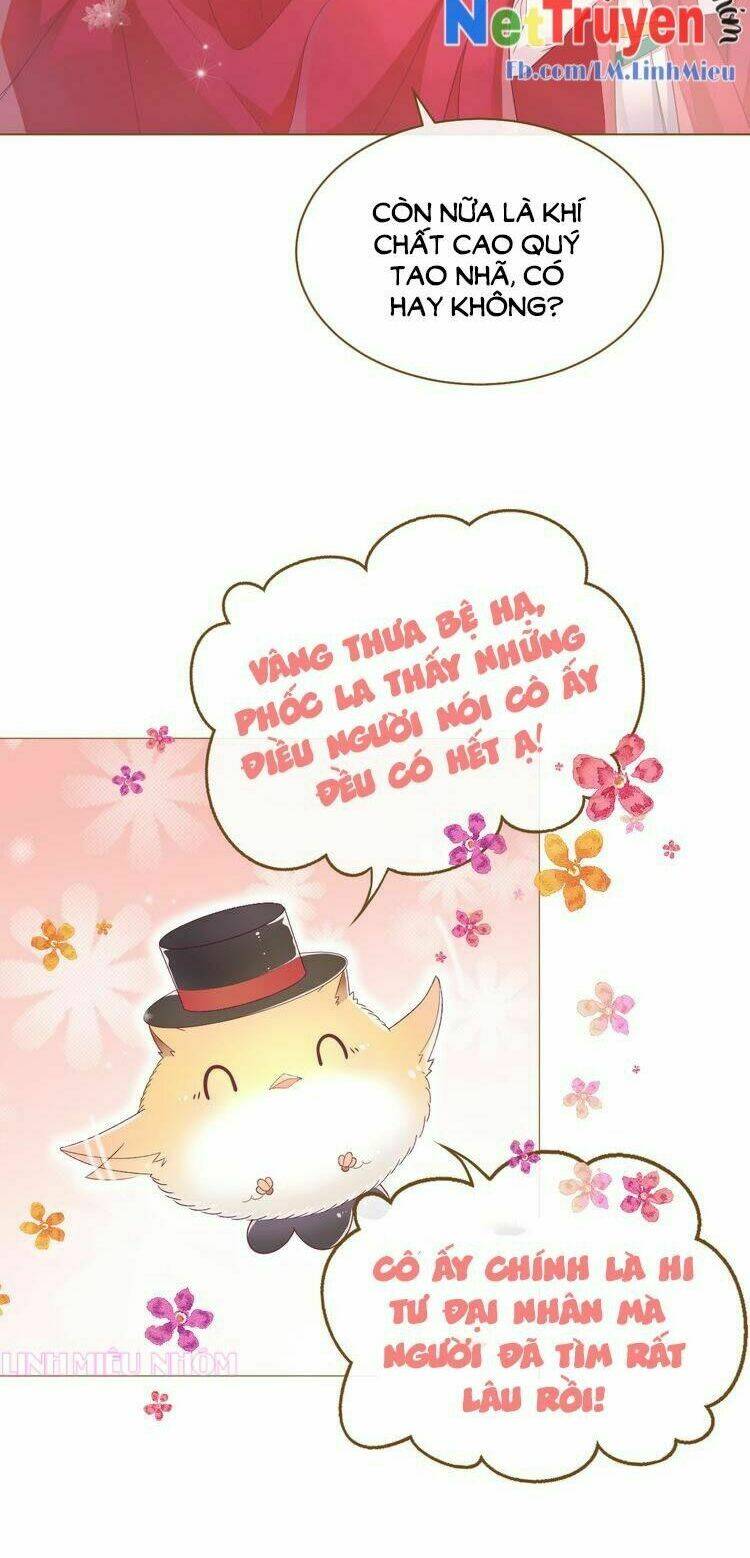 thuần bạch vận mệnh chi luân chapter 1 27