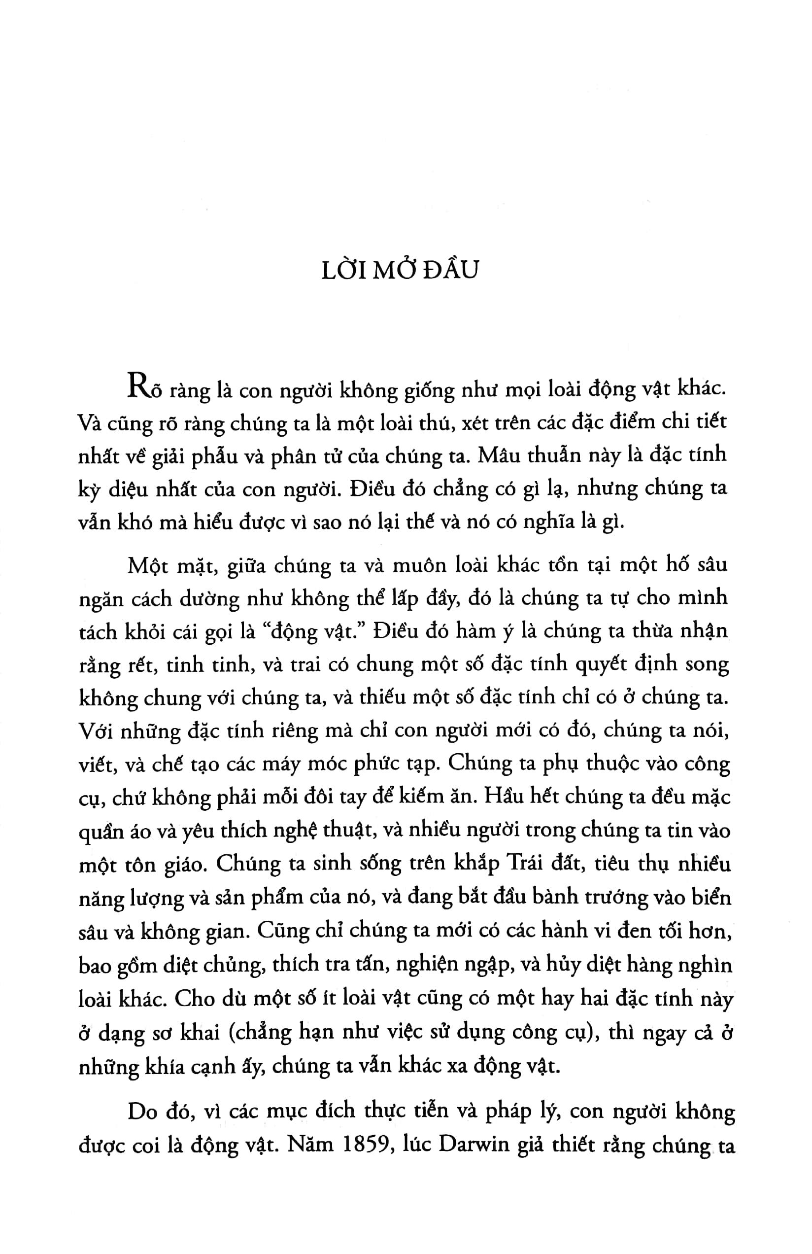 Loài Tinh Tinh Thứ Ba