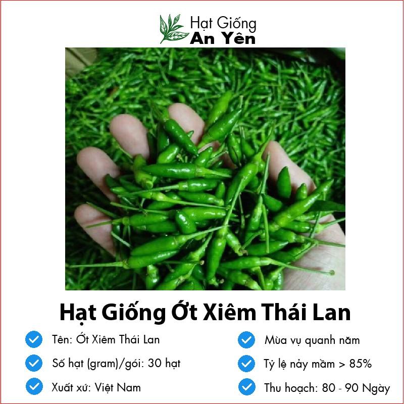 Hạt giống Ớt Xiêm Thái Lan thu hoạch sớm, dễ trồng, nảy mầm cao, sinh trưởng khoẻ