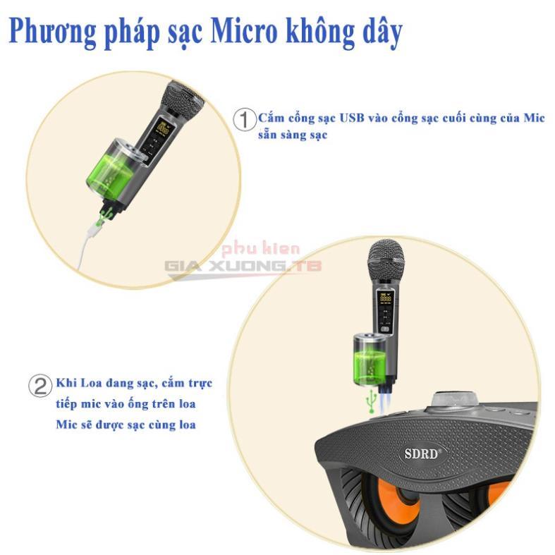 Loa bluetooth karaoke mini SD 306 Plus bản mới nhất, Loa mắt cú kèm 2 mic hát karaoke không dây, Bass cực chuẩn