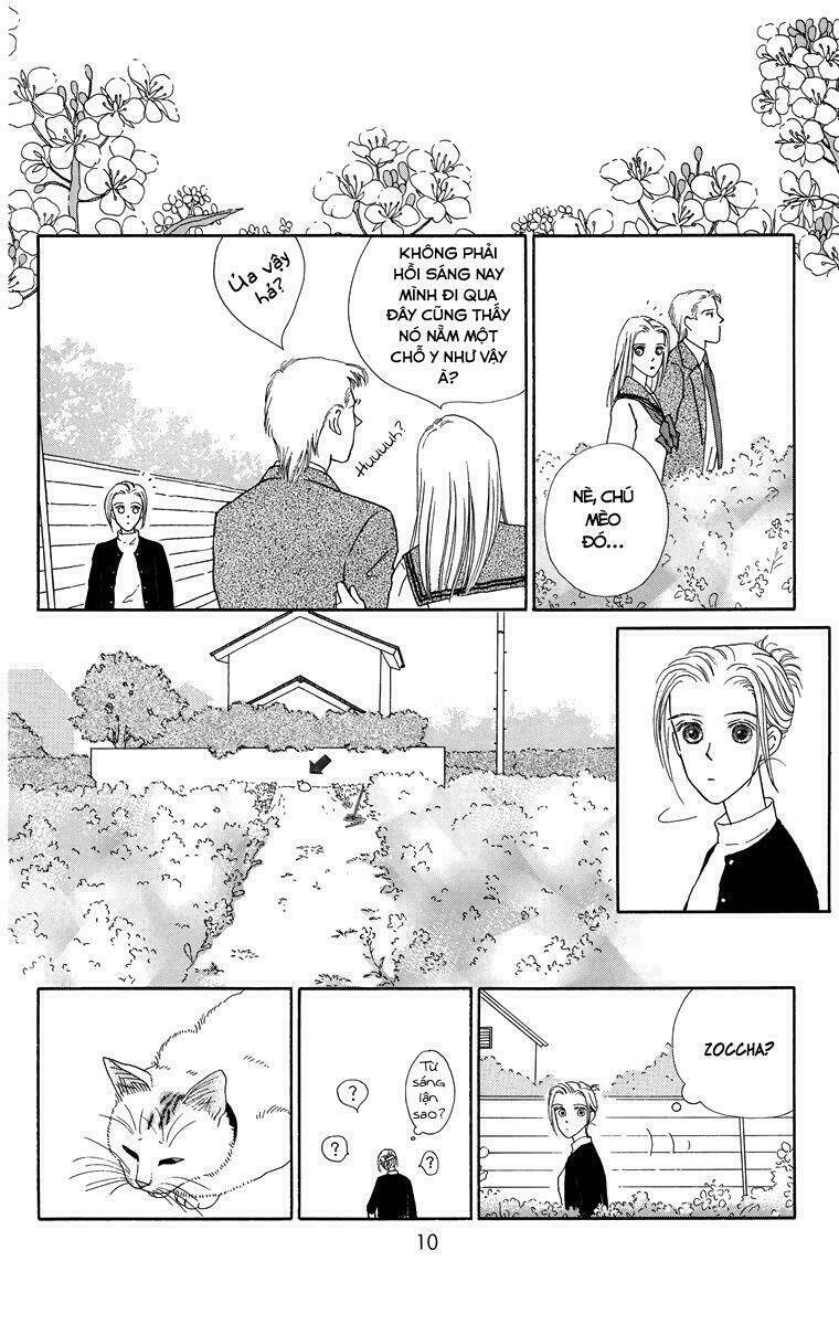 cuộc sống thường nhật của mèo zaccho chapter 1 12