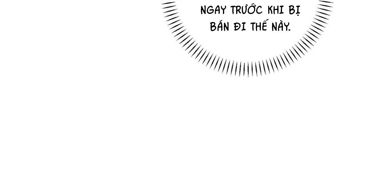 khế ước vĩnh cửu chapter 17 33