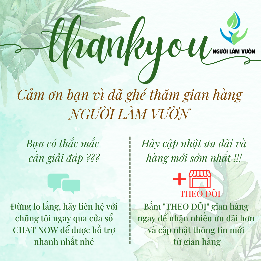 Chậu đất nung trồng cây kiểu trụ kim cương size nhỏ 7x7cm thoát nước tốt - lên màu đẹp