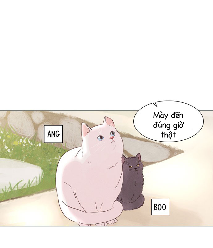 huyền bí chapter 1 29