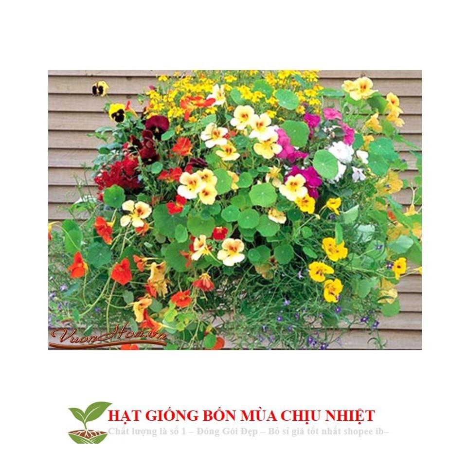 Hạt Giống Hoa Sen Cạn - 5 Hạt