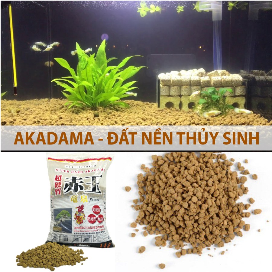 1kg Đất nung Akadama Ryusen size S - giá thể cho sen đá, xương rồng, bonsai, thủy canh