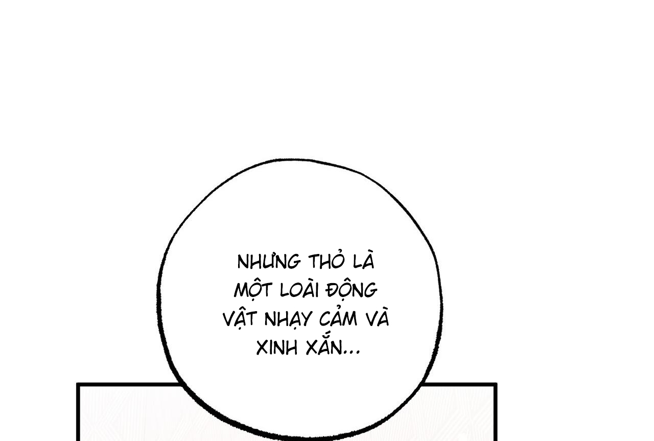 đàn thỏ của habibi chapter 65 34