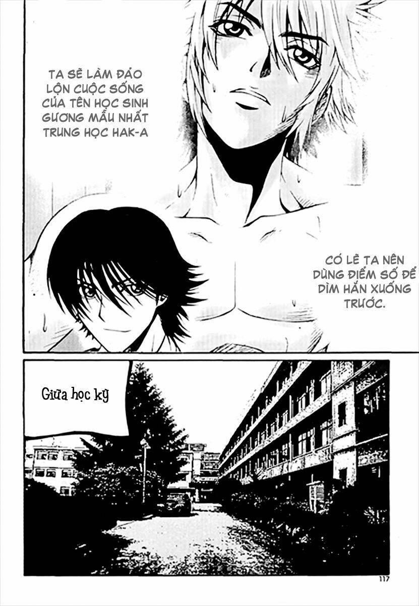 zippy ziggy chapter 41 13