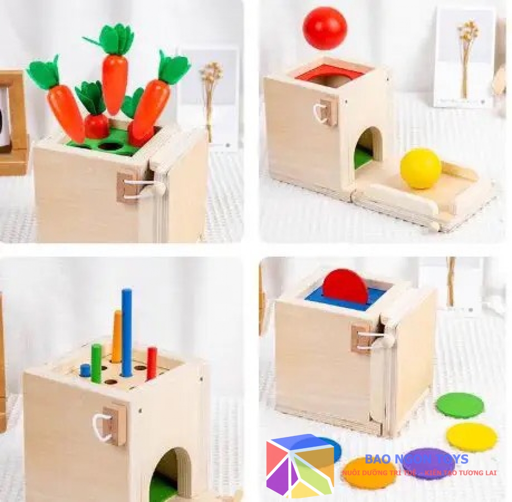 Hộp thả bóng montessori đa chức năng giúp bé phát triển vận động tinh đồ chơi câu sâu, trồng cà rốt BAO NGON TOYS DG178