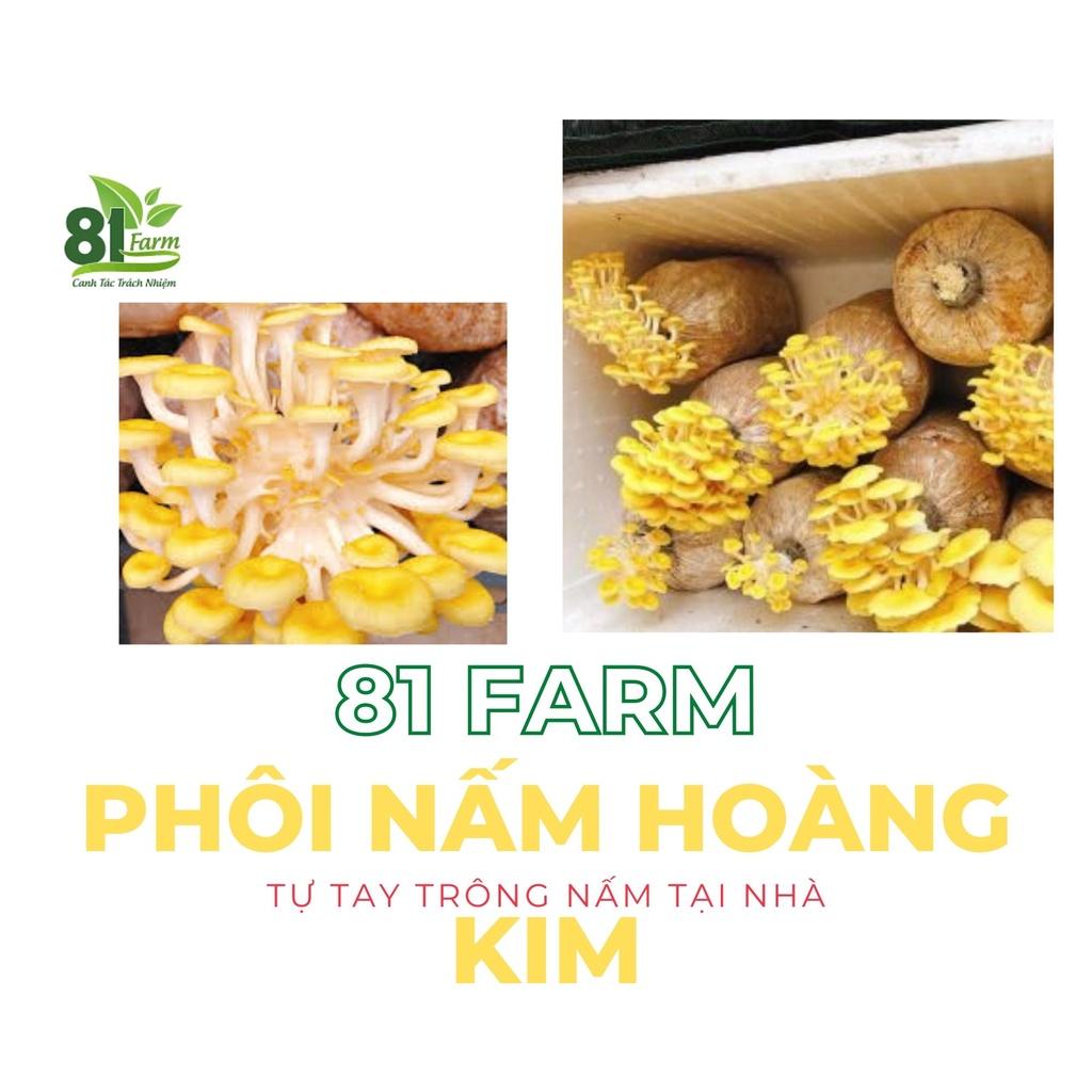 PHÔI NẤM HOÀNG KIM (5 BÌ)