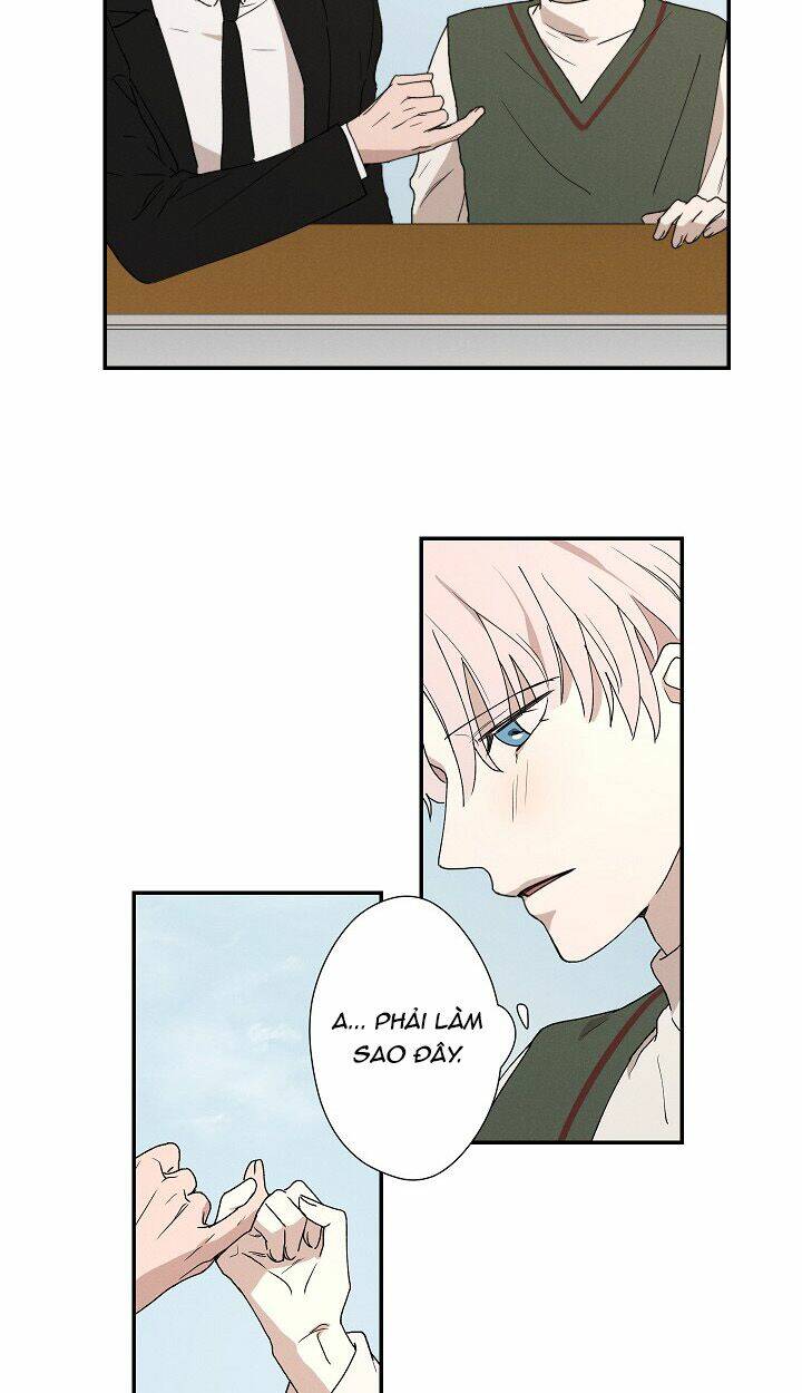 trốn tìm chapter 24 14