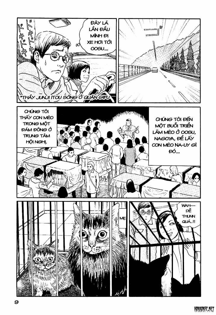 ito junji cat's diary chapter 1 13