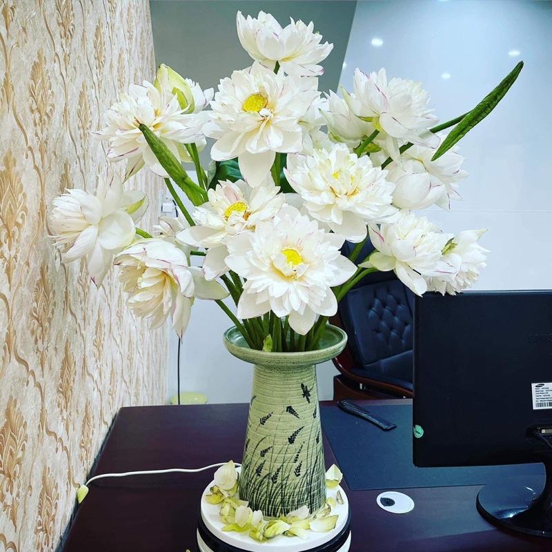 Lọ hoa búp bê cắm hoa siêu đẹp
