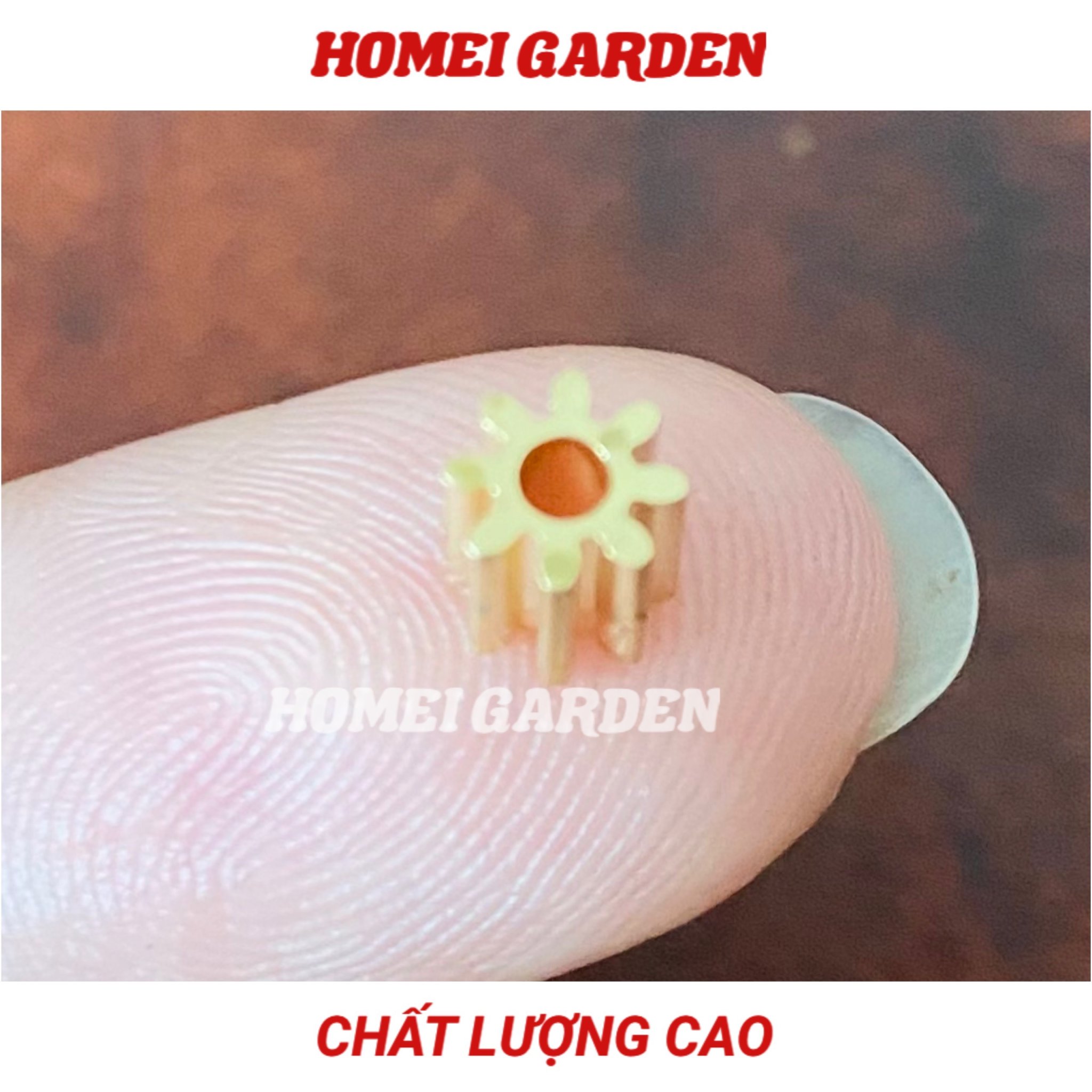 5 cái bánh răng kim loại trục 2mm 8 răng 82A bánh răng đồng chất lượng cao - HM0072