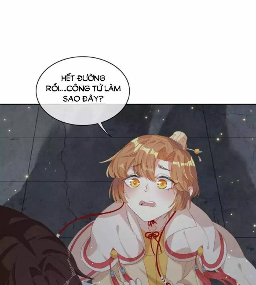 hội học sinh kiêu ngạo của hoàng cung chapter 5 45
