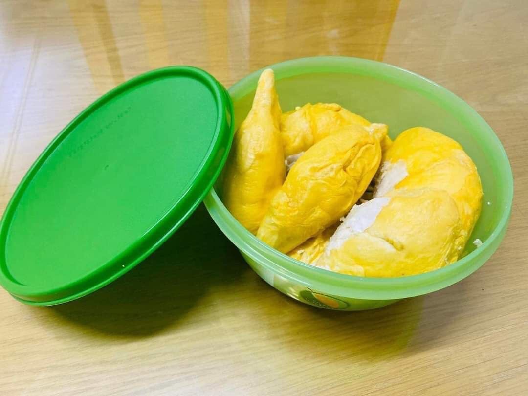 Bộ hộp trữ sầu riêng Durian Keeper Tupperware - Hàng chính hãng