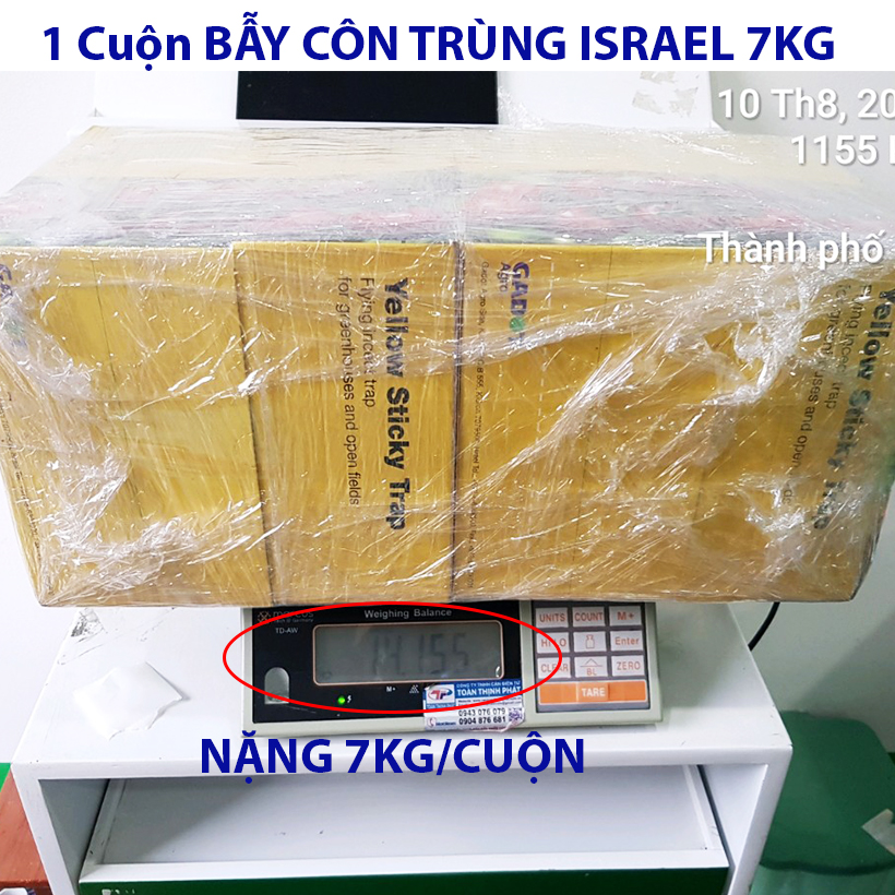 Cuộn Keo Dính Vàng Bẫy Côn Trùng Nhập khẩu Israel dùng bẫy ruồi đục trái, bẫy bọ trĩ, bọ phấn, sâu vẽ bùa và bẫy các côn trùng khác