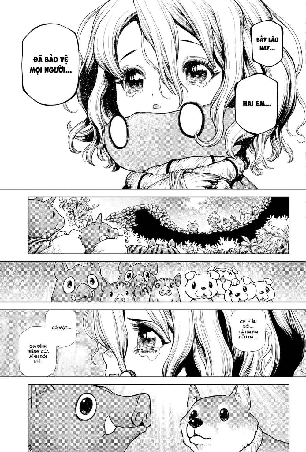 dr.stone - hồi sinh thế giới chapter 212 15