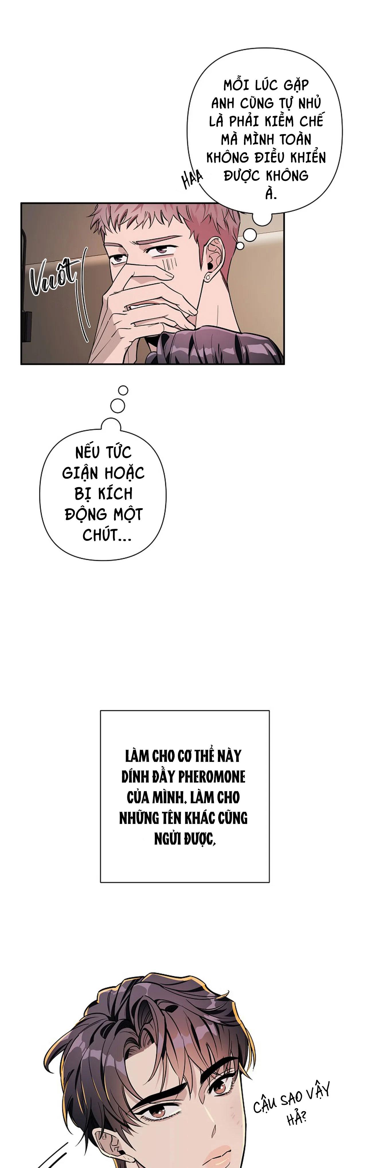 đêm dịu dàng chapter 21 21