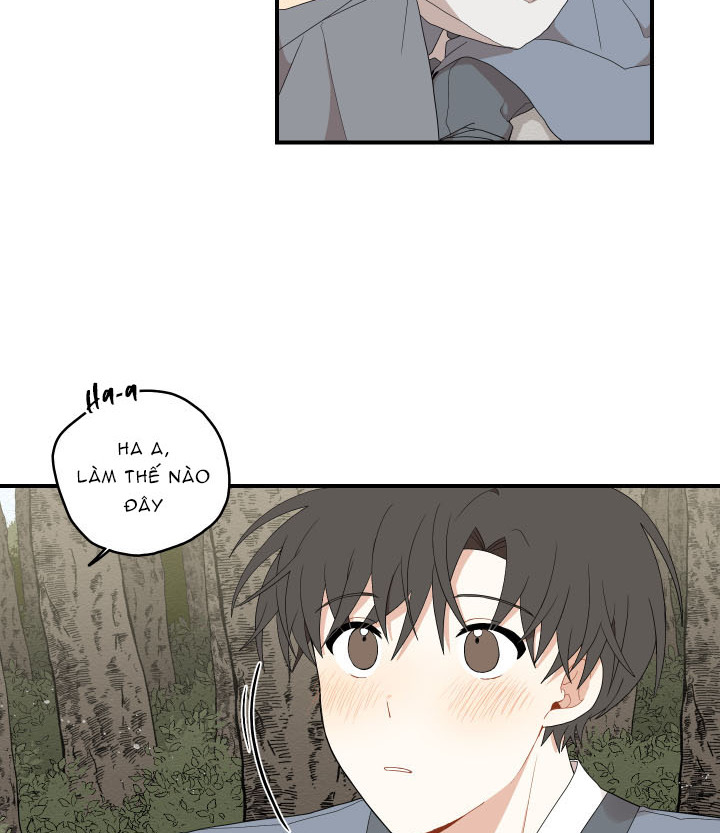 đường hoa liên kiều rơi chapter 19 57