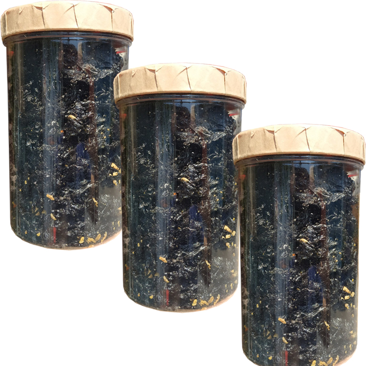 3 HŨ RONG BIỂN CHÁY TỎI BỔ DƯỠNG THƠM NGON - MỖI HŨ 100G