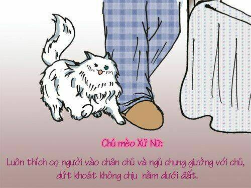 12 cung hoàng đạo vui chapter 22 10