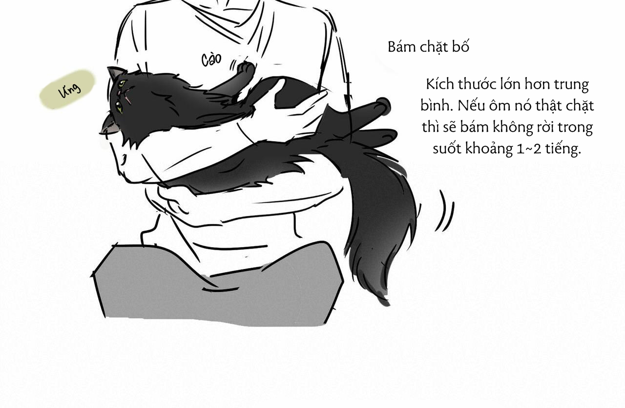 chàng giao pizza và gold palace chapter 32.5 42