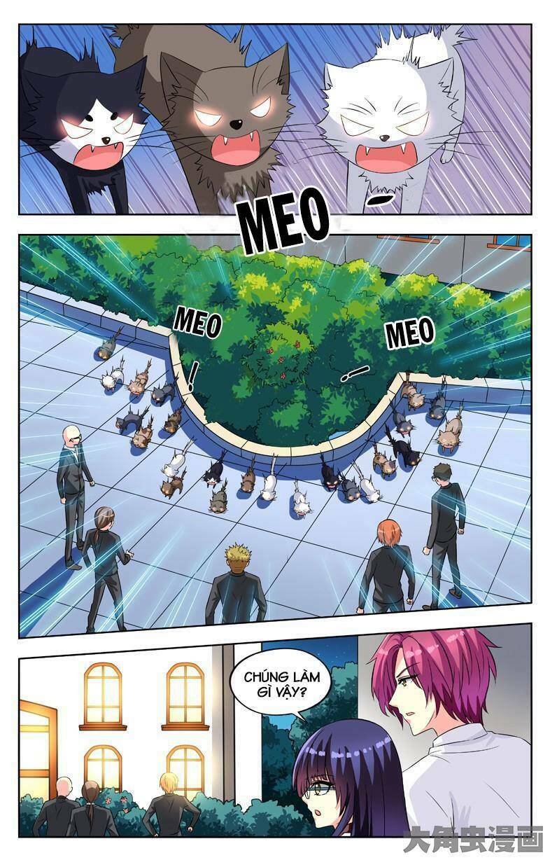 nam thần của tôi chapter 54 3