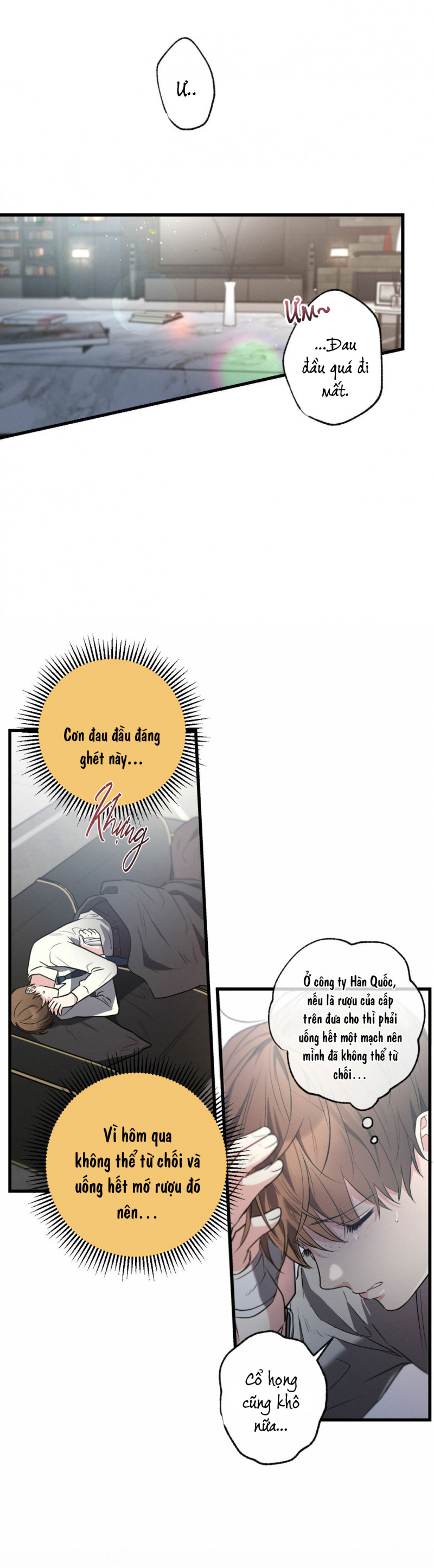 cố ý sơ xuất yêu đương chapter 25.5 12