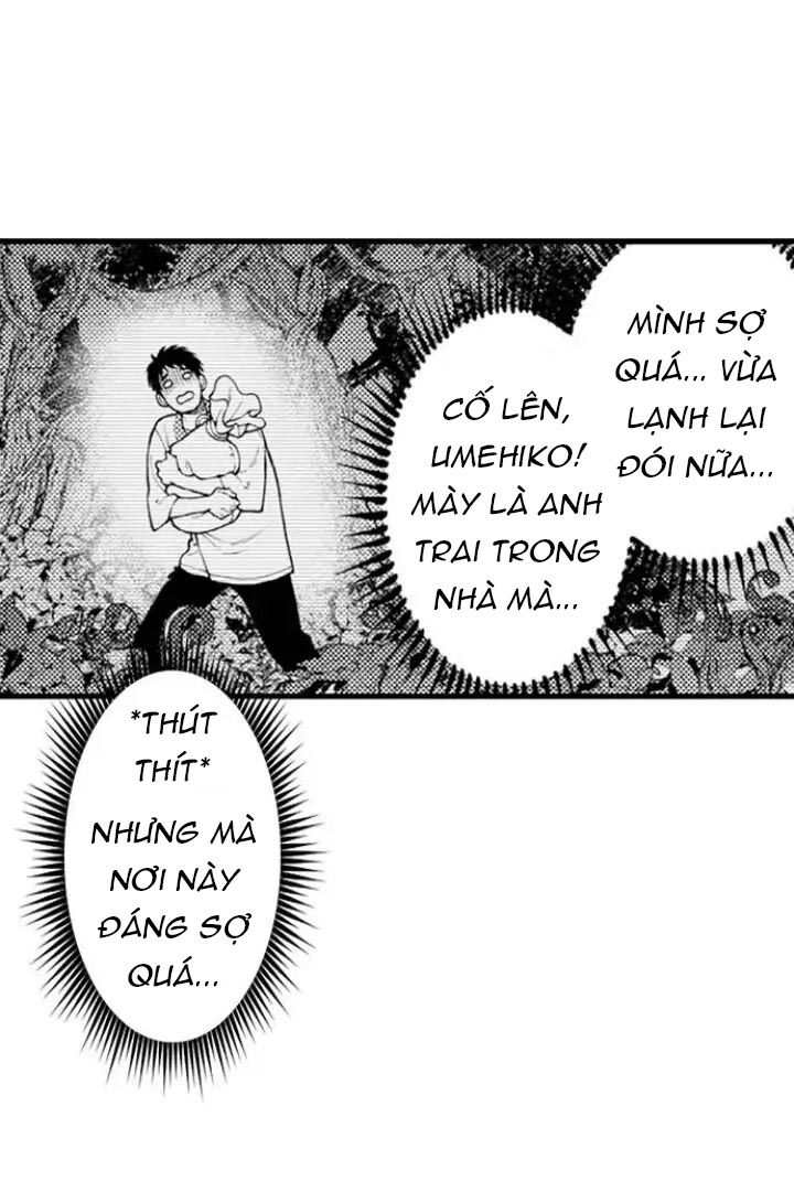 Gửi Em Gái Yêu Dấu, Anh Trai Em Trở Thành Thánh Nữ Mất Rồi chapter 15.2 - Trang 8