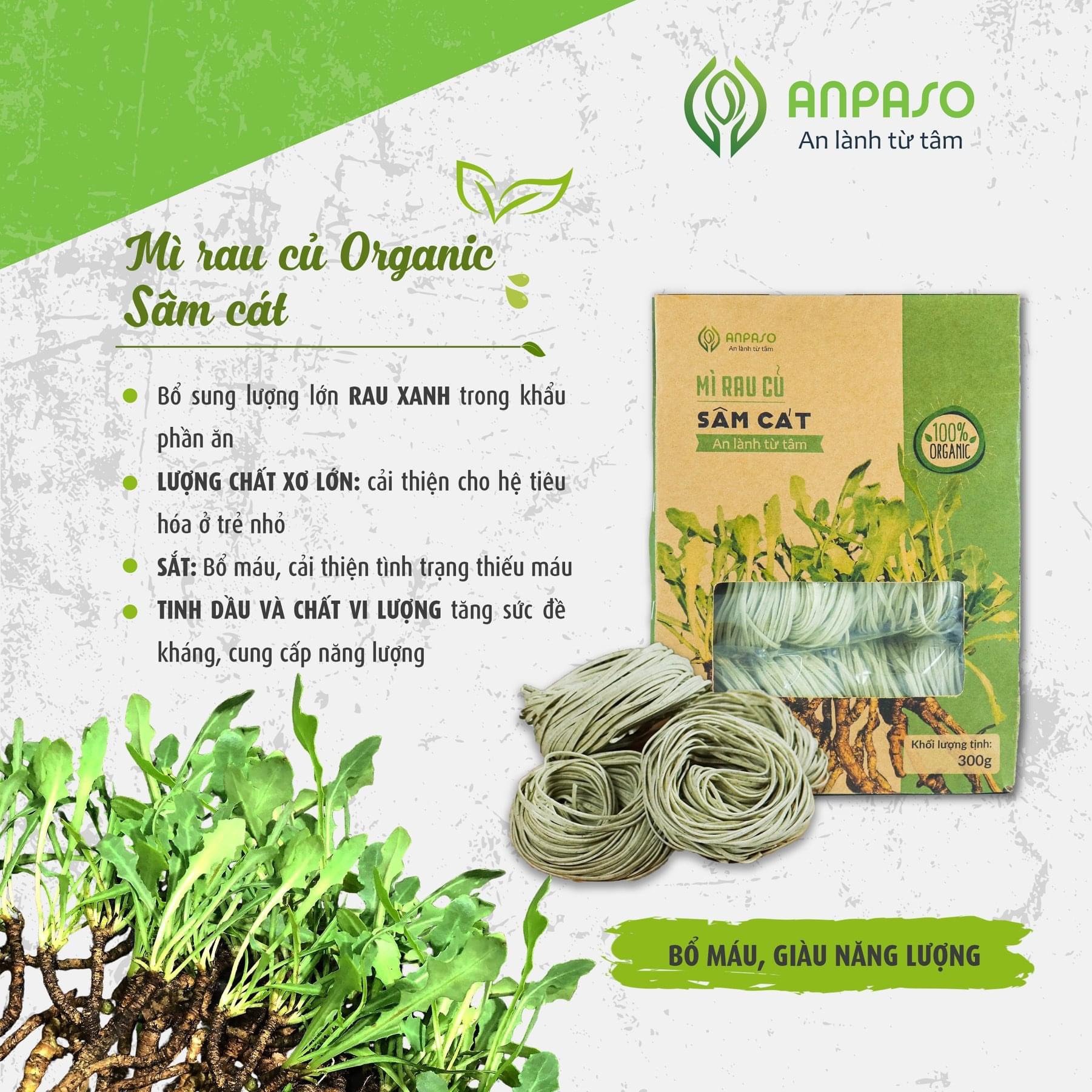 Mì Rau củ Vị Sâm Cát Organic Anpaso