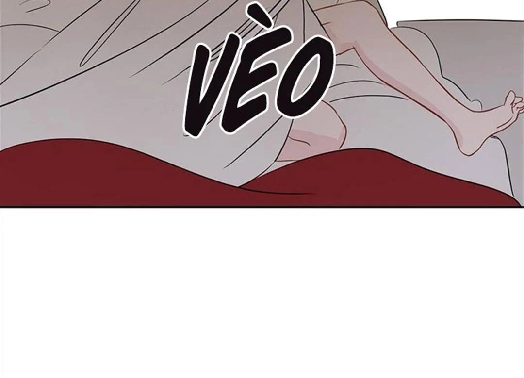 chuyện quái gì với giấc mơ đó vậy chapter 36 49